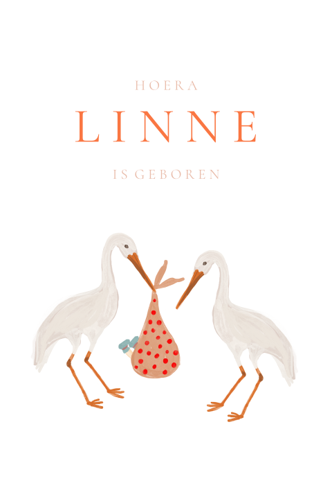 Geboortebord wit met ooievaars en kindje