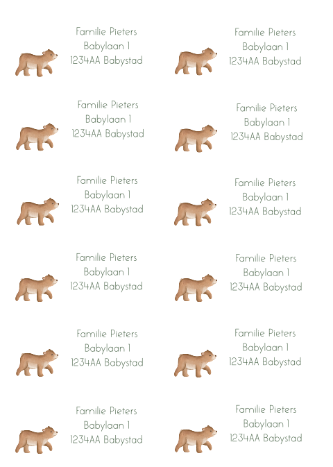 Adressticker wit met lief beertje