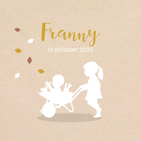 Hippe geboortekaart met zusjes en kruiwagen