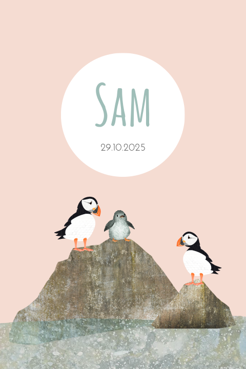 Lief geboortekaartje met papegaaiduikers