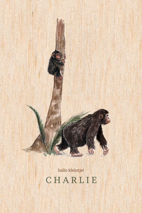 Echt houten staand geboortekaartje met twee aapjes