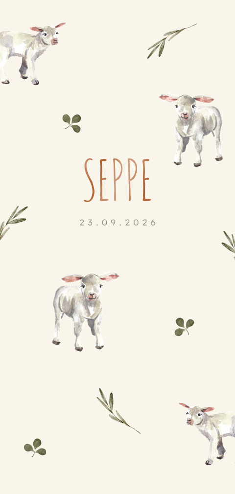 Hoogglans geboortekaartje met lammetjes voor een jongen