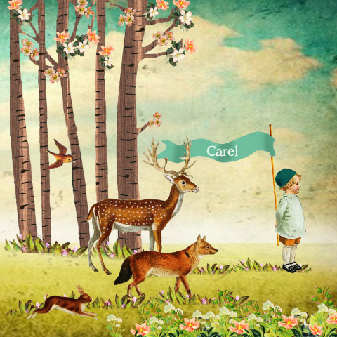 Vintage geboortekaartje met dieren in het bos