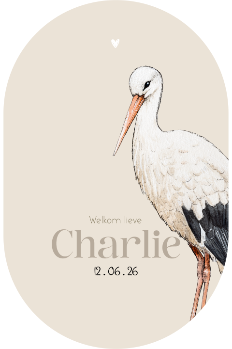Origineel geboortekaartje beige met ooievaar