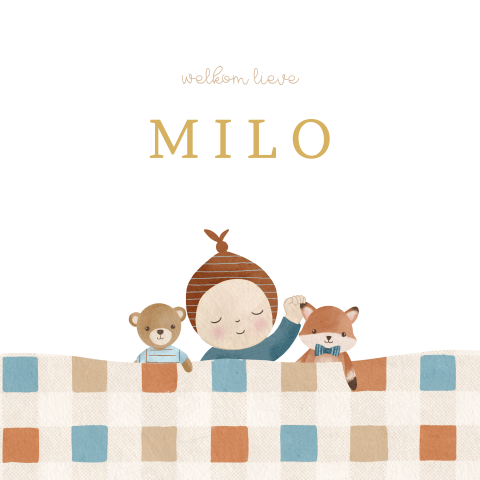 Tuinbord met jongen en knuffels