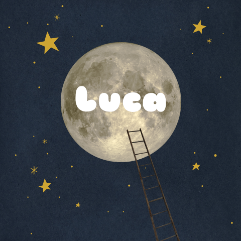 Poster voor jongen met volle maan aan een sterrenhemel met ladder