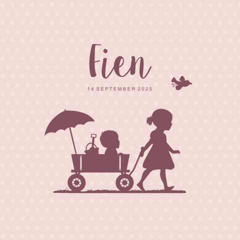 Zomers geboortekaartje voor meisje met silhouet grote zus in strandkar