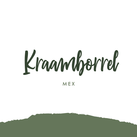 Kraamborrel uitnodiging stoer met groen