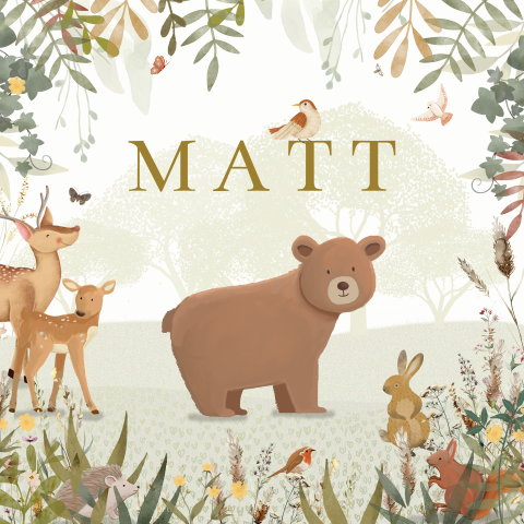 Geboortekaartje beer in landschap