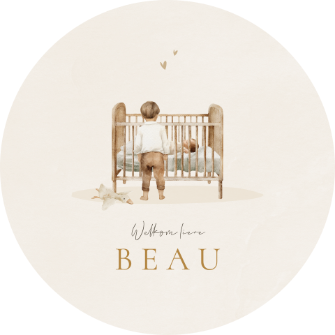 Raamsticker met illustratie wiegje en grote broer