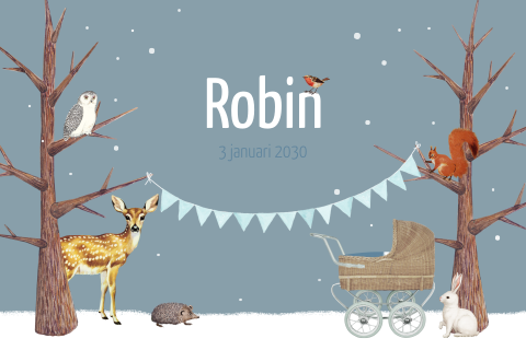 Hip winter geboortekaartje voor jongen met bosdieren in de sneeuw