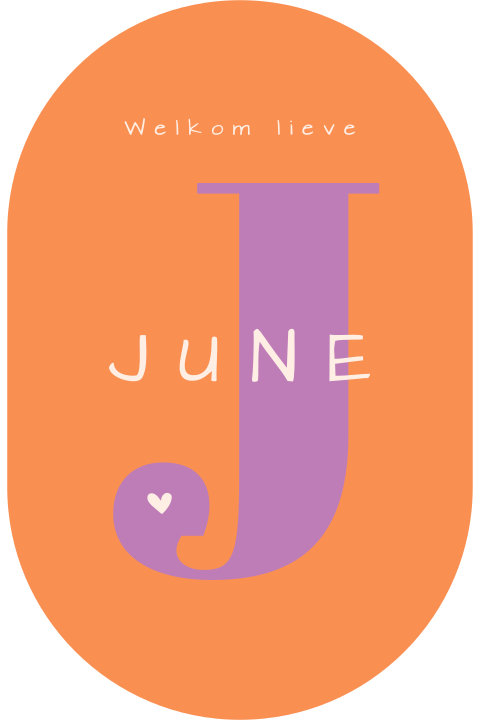 Trendy color block geboortekaartje ovaal met naam en letter