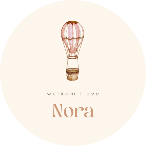 Raamsticker rond met roze luchtballon en bloemetjes