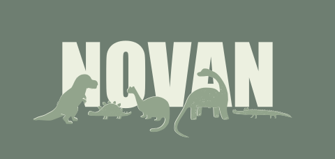 Stoer geboortekaartje met dino silhouetjes en typografie