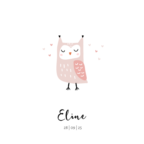 Lief babykaartje meisje met uil