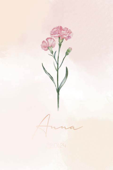 Lief geboortekaartje met watercolour en roze geboortebloem anjer