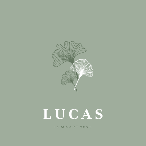 Natuurlijk geboortekaartje voor jongen met groene ginkgo bladeren