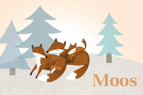 Stoer dieren geboortekaartje voor jongen met vossen familie