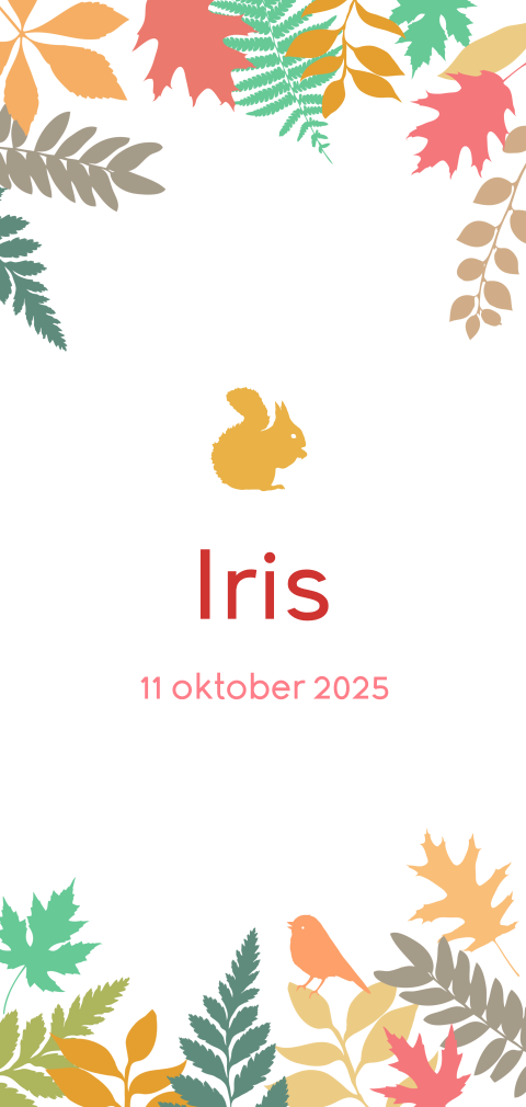 Vrolijk geboortekaartje met herfstblaadjes