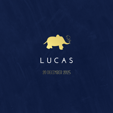 Geboortekaartje voor jongen met olifantje op donkerblauwe achtergrond