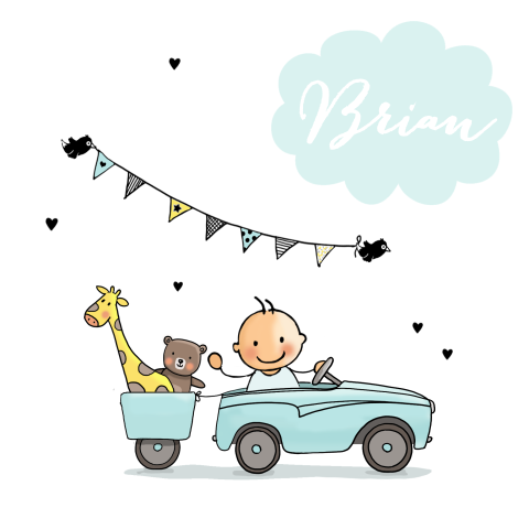Unieke geboortekaart met jongen in auto met dieren en wolkje