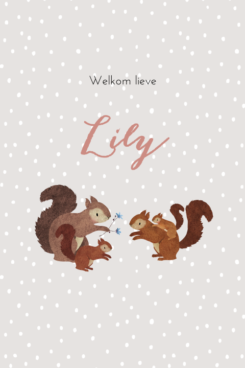 Hip geboortekaartje met eekhoornfamilie