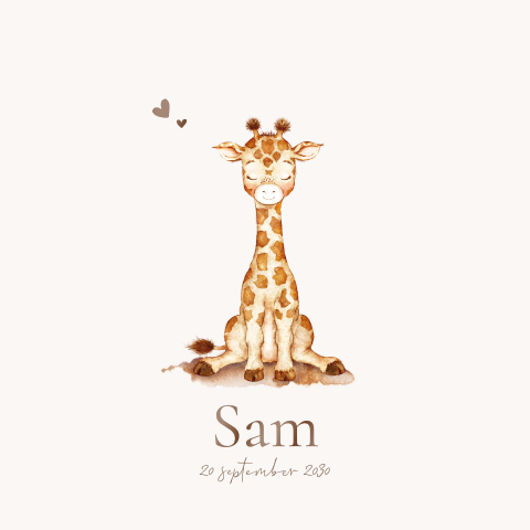 Lief hoogglans geboortekaartje met illustratie baby giraf