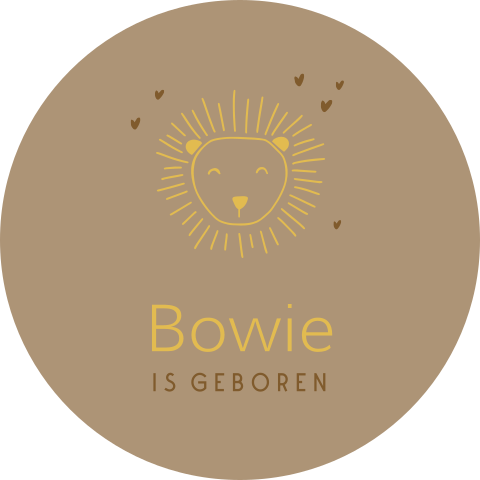 Bruine raamsticker met getekende leeuwenkop