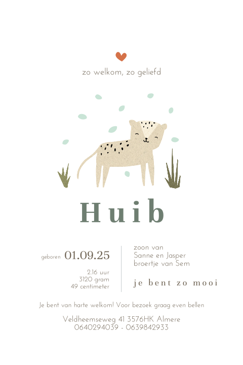 Lief geboortekaartje jongen met schattige puma