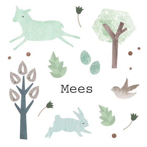 Fris geboortekaartje voor jongen met lente dieren en bloemen