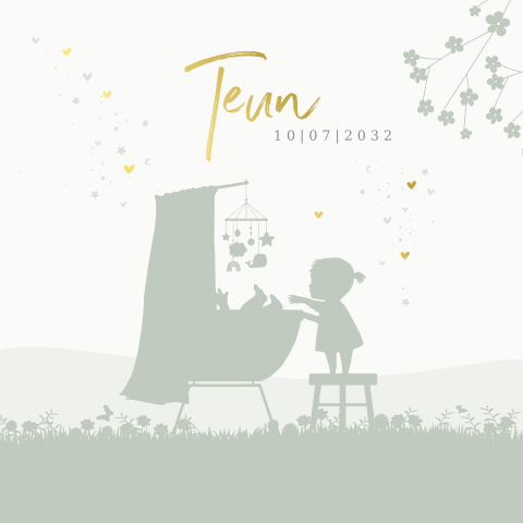 Geboortekaartje jongen met silhouet wiegje en zus