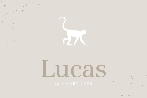 Minimalistisch geboortekaartje met ronde hoeken en aap voor jongen