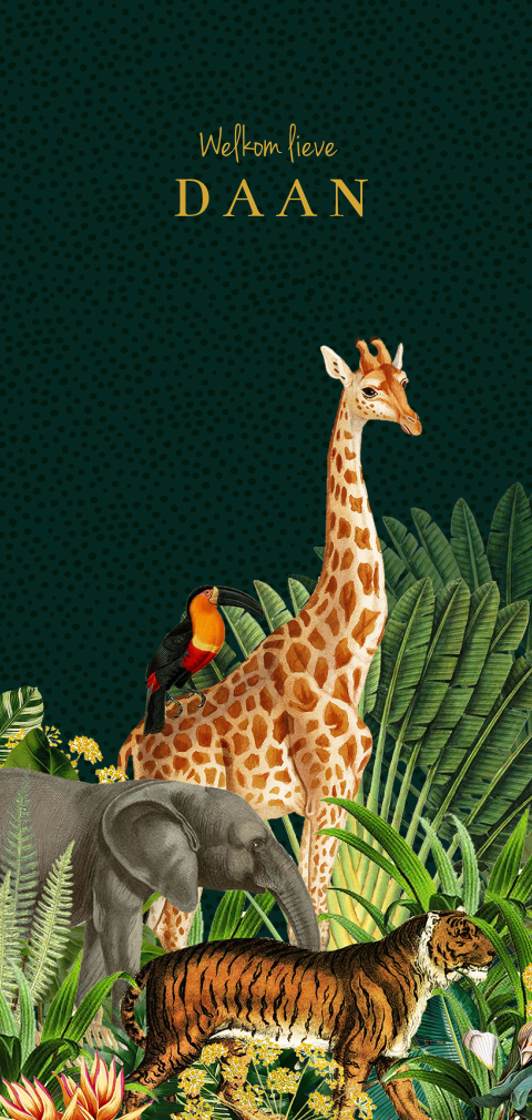 Trendy jungle geboortekaartje jongen met giraffe, tijger en olifant