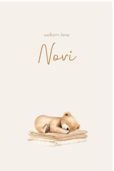 Raambord staand met slapend beertje