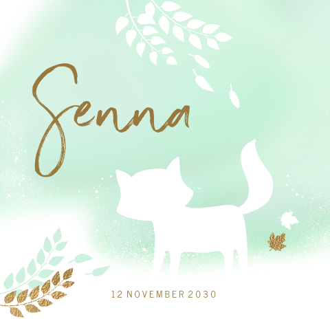 Hip geboortekaartje met silhouet van vosje op mintgroen