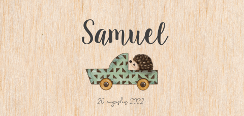Echt houten trendy geboortekaart zoon met egel in auto en ronde hoeken