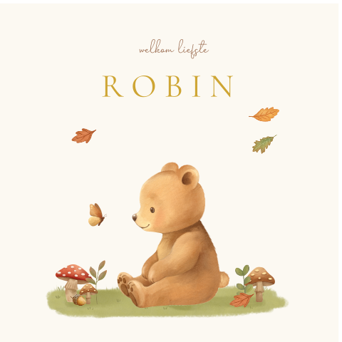 Gepersonaliseerd raambord met beertje en vlinder