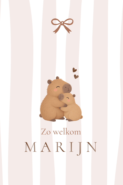 Lief geboortekaartje met getekende capibara op roze strepen