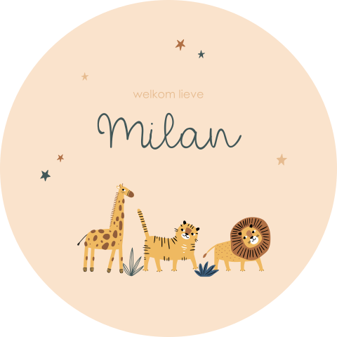 Raamsticker jungle dieren parade met naam