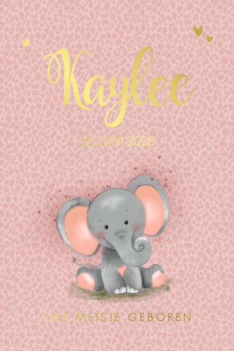Geboortekaartje meisje roze panterprint en lief olifantje