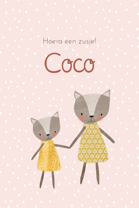 Lief geboortekaartje met poesjes