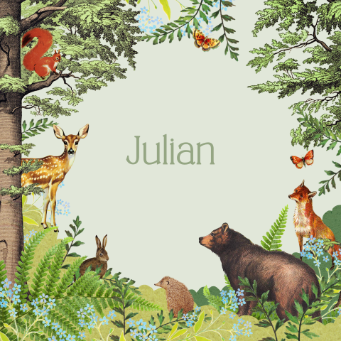 Poster voor jongen met stoere bos dieren
