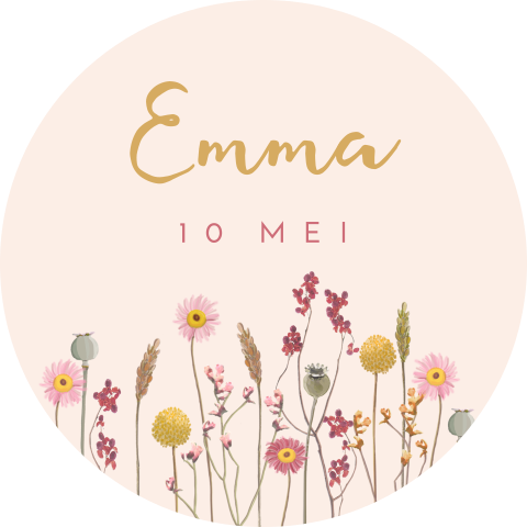 Zachtroze raamsticker met rand van kleurrijke bloemen