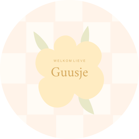 Raamsticker rond met ruitjespatroon en gele bloem