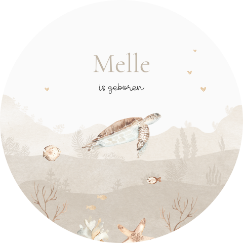 Raamsticker onderwaterwereld beige tinten