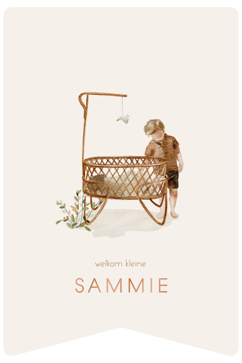 Origineel geboortekaartje vlag met rotan wiegje en grote broer