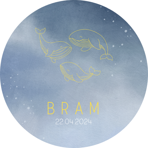 Blauwe raamsticker met lijntekeningen van walvissen