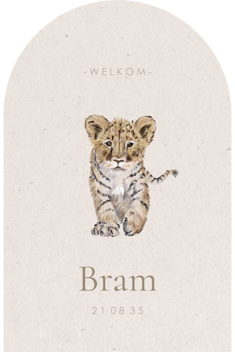 Arch vorm geboortekaartje neutraal met tijgertje