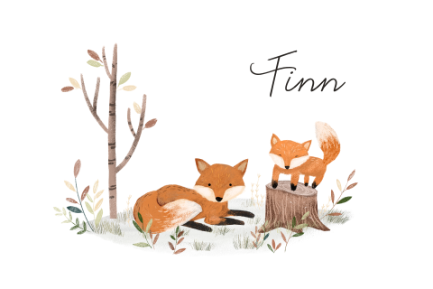 Lief geboortekaartje met twee vosjes voor een broertje