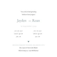 Lief geboortekaartje voor tweeling met silhouetjes van twee jongetjes